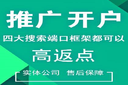 SEM托管代运营服务案例解析